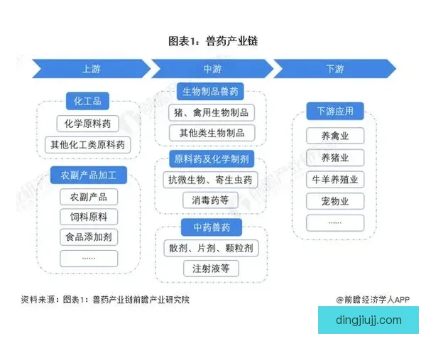 佛山vs深圳城市实力对决新格局下的产业创新与区域竞争观察